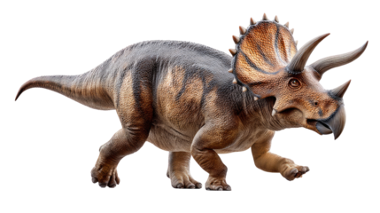 Triceratops: A magnificent Triceratops roams through its prehistoric habitat, showcasing its distinctive frill and horns. This image captures the essence of a bygone era.