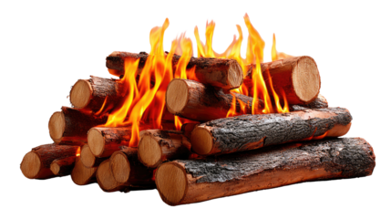 Burning Firewood: A captivating depiction of a crackling fire illuminating a pile of firewood logs, inviting warmth and tranquility.