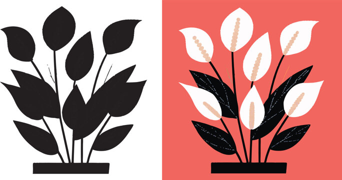 Peace lily elegance for modern interiors, botanical freshness meets minimalist art and trending coral hues, a symbol of tranquility and design