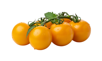 Fresh cluster of vibrant yellow cherry tomatoes on the vine, isolated on a clean white background, showcasing their natural ripeness.