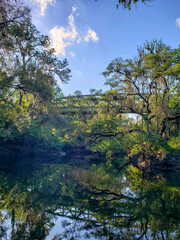spring in the forest with a river