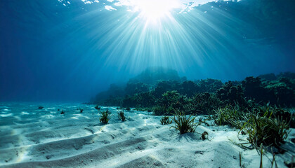 Underwater Sunlight and Sand