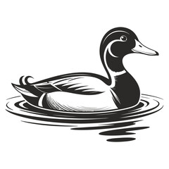 duck on white background