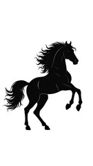 A silhouette of a rearing horse, black against a stark white backdrop. The animal has a flowing mane and tail, and raised forelegs