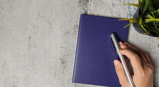 Creative Planning Concept: Hand Holding Pen Over Dark Blue Book Beside Tree Decor on Clean White and Grey Desk