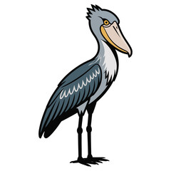 shoebill