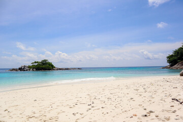 tropical beach with palm trees