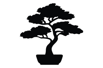 Black bonsai tree silhouette,  Bonsai tree vector illustration