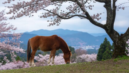 桜の木の下の牧場で草をはむ馬たち