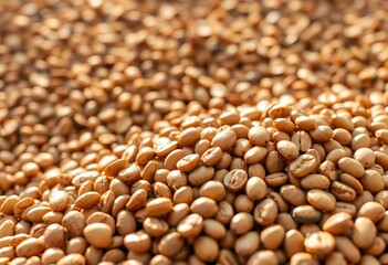 Obraz premium Golden brown roasted field beans, earthy aroma, vegan, overhead