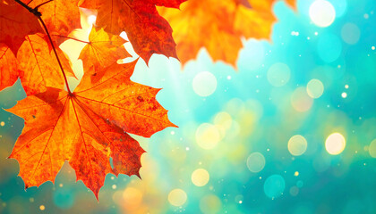 Autumn Leaves Bokeh Background
