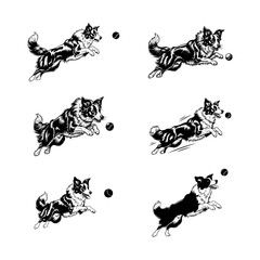 Obraz premium Set of Playful Border Collie Dogs Jumping for Ball Illustrations