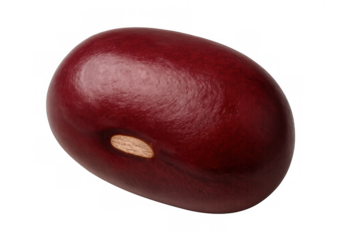 Single red kidney bean showing a vibrant maroon seed, ready for cooking and representing healthy nutrition on transparent background