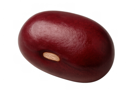 Single red kidney bean showing a vibrant maroon seed, ready for cooking and representing healthy nutrition on transparent background