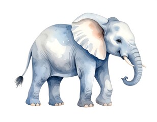 Fototapeta premium Watercolor illustration of an elephant walking, isolated on a white backdrop