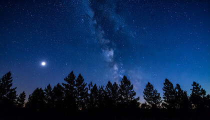 Milky Way over Forest