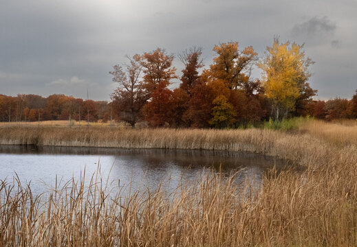 beautiful autumn trees reflecting in the water accross a pond under cloudy skies