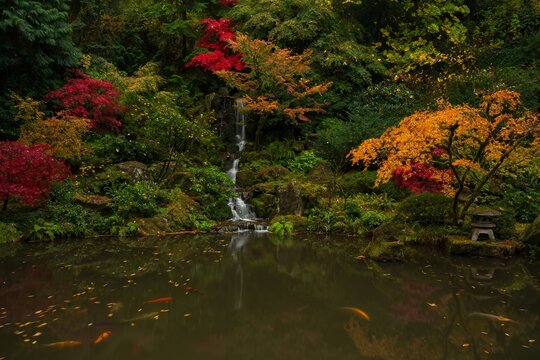 Small waterfall into a koi pond