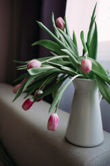 Soft window light pink tulips in a white ceramic jug on a sofa arm, gentle drooping stems and...