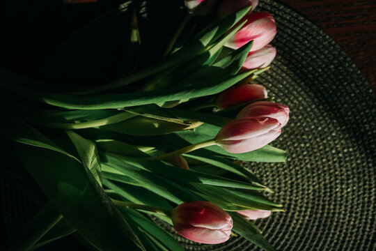 Moody close-up of soft pink tulip buds with lush green leaves in dramatic sunlight, dark background and textured surface, intimate spring still life without people - Powered by Adobe