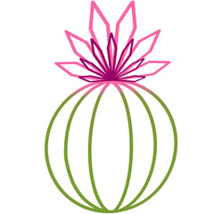 Geometric Cactus