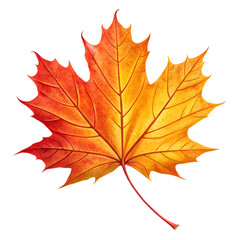 Fototapeta premium autumn leaves isolated on transparent or white background, png