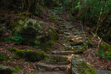 求菩提山登山「鬼の石段」