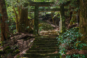 Fototapeta premium 求菩提山登山「鬼の石段」