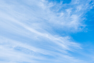 Obraz premium 青空 秋