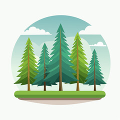 Cartoon Illustration of Evergreen Trees on Green Patch.