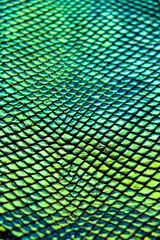 Snake skin texture. Holographic texture.