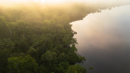 Aerial view of the Amazonian rivers of the Peruvian rainforest, a drone view of the Amazon rainforest surrounded by water, the Nanay River surrounded by rainforests in the Peruvian Amazon