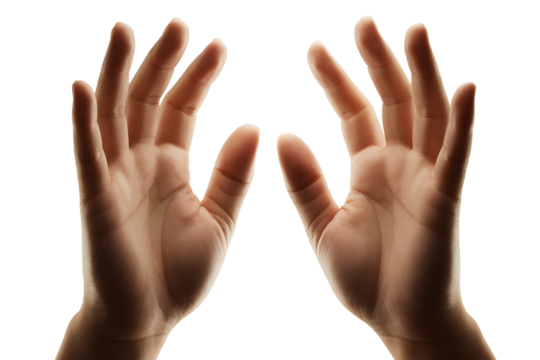 Pair of Human Hands Reaching Up, Front View