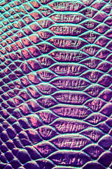 Snake skin texture. Holographic texture.