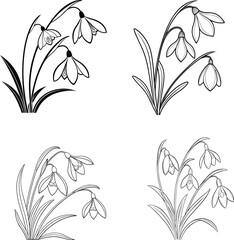 Elegant Snowdrop Flower Line Art Collection