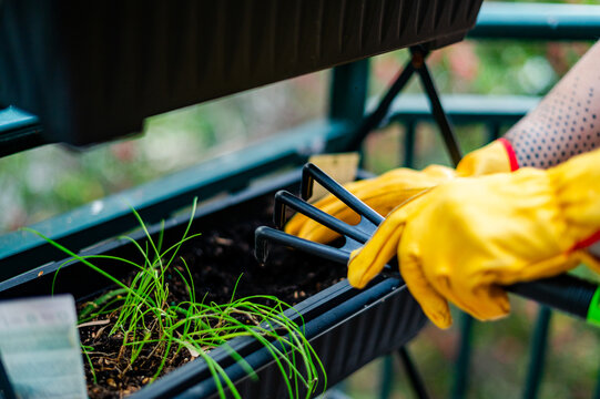 a person wearing yellow gloves using gardening tool prepares the soil for plant