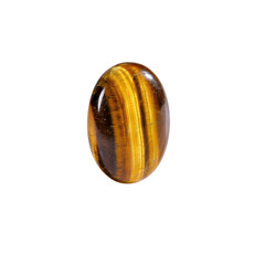 Polished tiger's eye gem; brown and gold bands