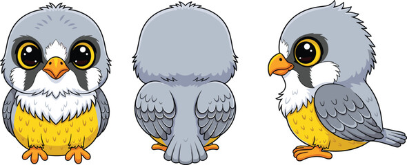Cartoon bird character design in front, side, back views, animation turnaround concept, cad drawing flat vector illustration