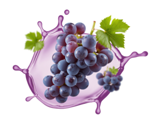Fresh bunch of grapes with leaves and juice splash isolated on transparent background