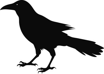 A detailed black silhouette of a crow perched on a surface