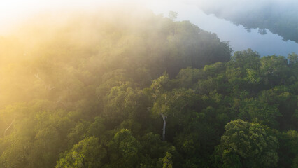 Aerial view of the Amazonian rivers of the Peruvian rainforest, a drone view of the Amazon rainforest surrounded by water, the Nanay River surrounded by rainforests in the Peruvian Amazon