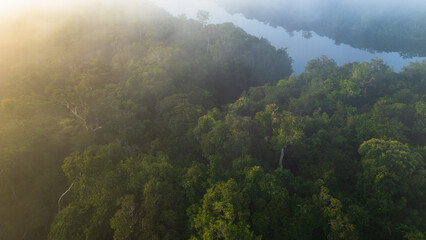 Aerial view of the Amazonian rivers of the Peruvian rainforest, a drone view of the Amazon rainforest surrounded by water, the Nanay River surrounded by rainforests in the Peruvian Amazon