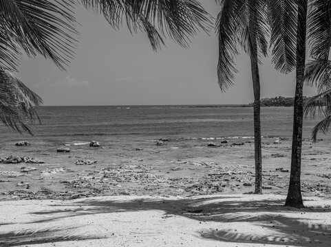 Tranquil Beach Scene with Palm Shadows