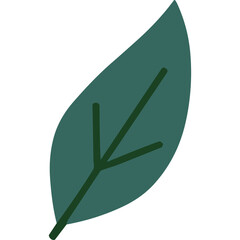 A Single Dark Green Leaf With a Stem and Visible Veins on a Transparent Background Offering a Minimalist Botanical Element