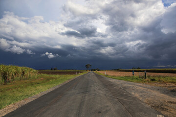 Stormy day in the cane fields of Jacobs Well, Gold Coast. Queensland, Australia