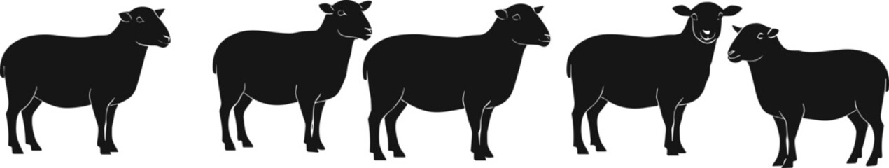 Sheep silhouettes with unique expressions and postures, livestock concept, cad drawing flat vector illustration, farm animal design, agriculture reference art