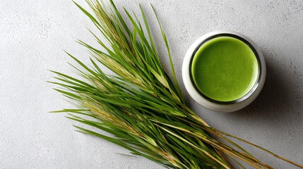 Wheatgrass juice.A vibrant bowl of green smoothie made from fresh grass and herbs, exhibiting a healthy lifestyle
