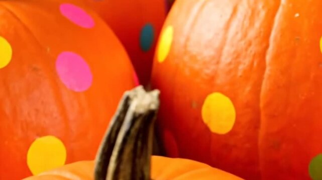 Polkadotted pumpkin patch ready for autumn