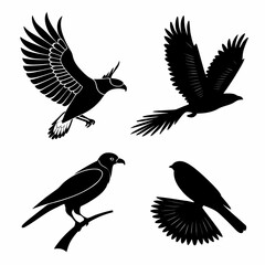 Four black bird silhouettes in flight and perched white
