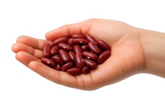 Hand holding raw red kidney beans, offering nutritious plant-based protein, ready for cooking with transparent background - Powered by Adobe